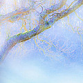 In Winter's Magic