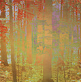 Autumn Magickly