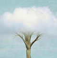 Cloud Tree