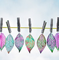 Leaves on a Clothes Line