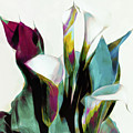 Lily Pastel Pastiche