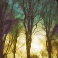 Spring Dawn